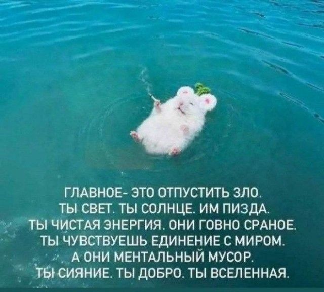 ГЛАВНОЕ- ЭТО ОТПУСТИТЬ ЗЛО. ТЫ СВЕТ. ТЫ СОЛНЦЕ. ИМ ПИЗДА. ТЫ ЧИСТАЯ ЭНЕРГИЯ. ОНИ ГОВНО СРАНОЕ. ТЫ ЧУВСТВУЕШЬ ЕДИНЕНИЕ С МИРОМ. А ОНИ МЕНТАЛЬНЫЙ МУСОР. ТЫ СИЯНИЕ. ТЫ ДОБРО. ТЫ ВСЕЛЕННАЯ.