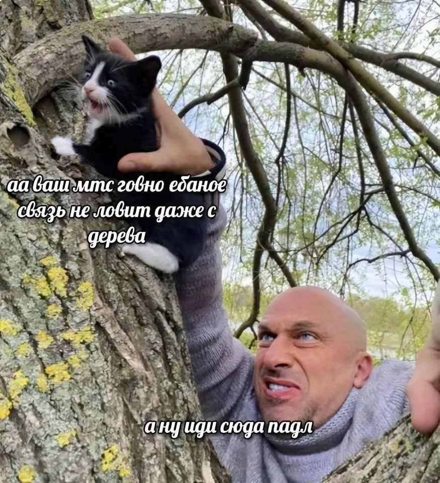 аа ваш мтс говно ебаное связь не ловит даже с дерева а ну иди сюда падл