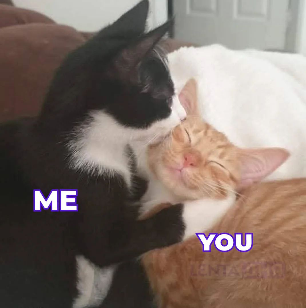 ME YOU