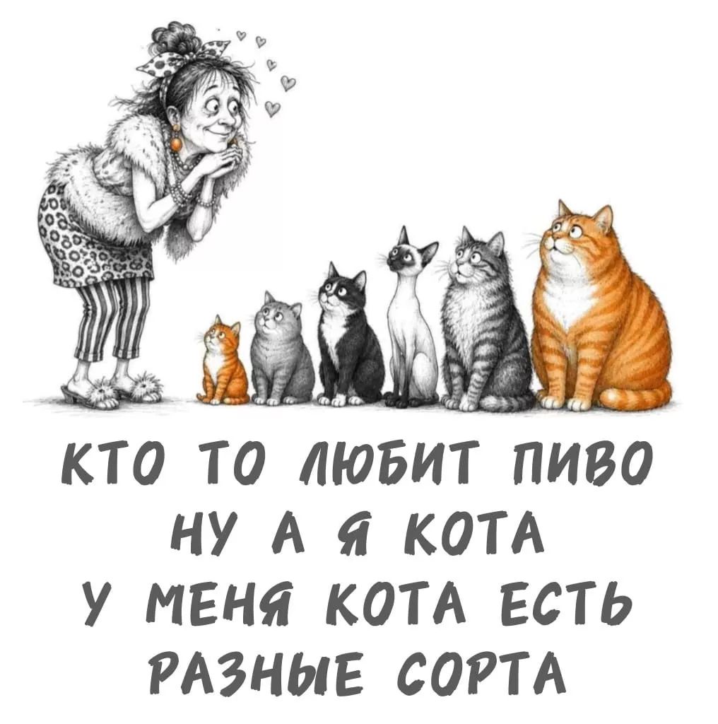 КТО ТО ЛЮБИТ ПИВО НУ А Я КОТА У МЕНЯ КОТА ЕСТЬ РАЗНЫЕ СОРТА