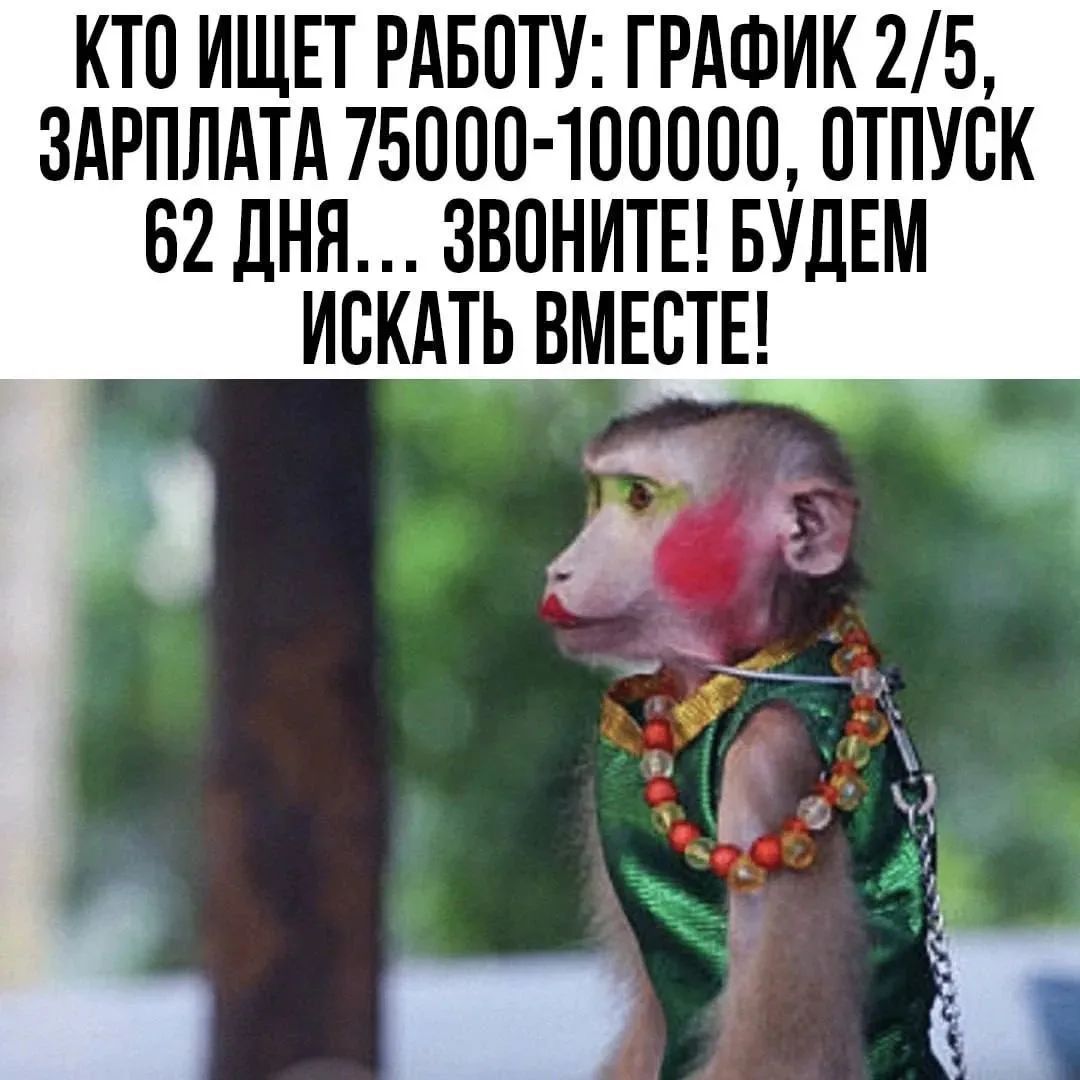 Кто ищет работу: график 2/5, зарплата 75000-100000, отпуск 62 дня... Звоните! Будем искать вместе!