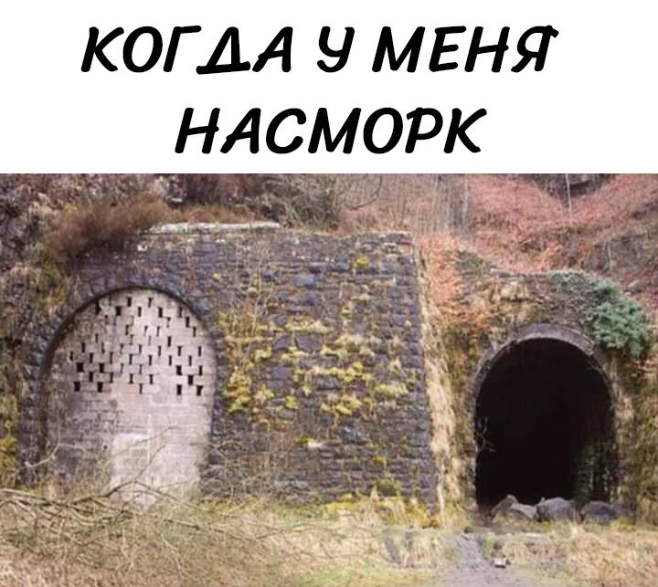 КОГДА У МЕНЯ НАСМОРК