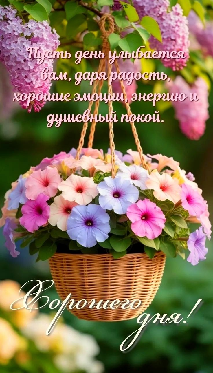 IN LOVE Пусть день улыбается Вам, даря радость, хорошие эмоции, энергию и душевный покой. Хорошего дня!