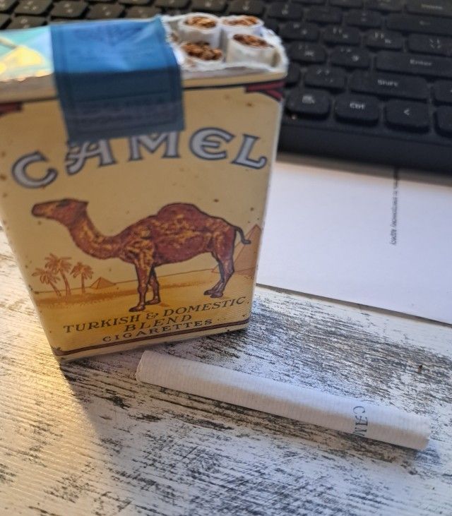 CAMEL TURKISH & DOMESTIC BLEND CIGARETTES