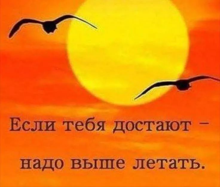 Если тебя достают – надо выше летать.