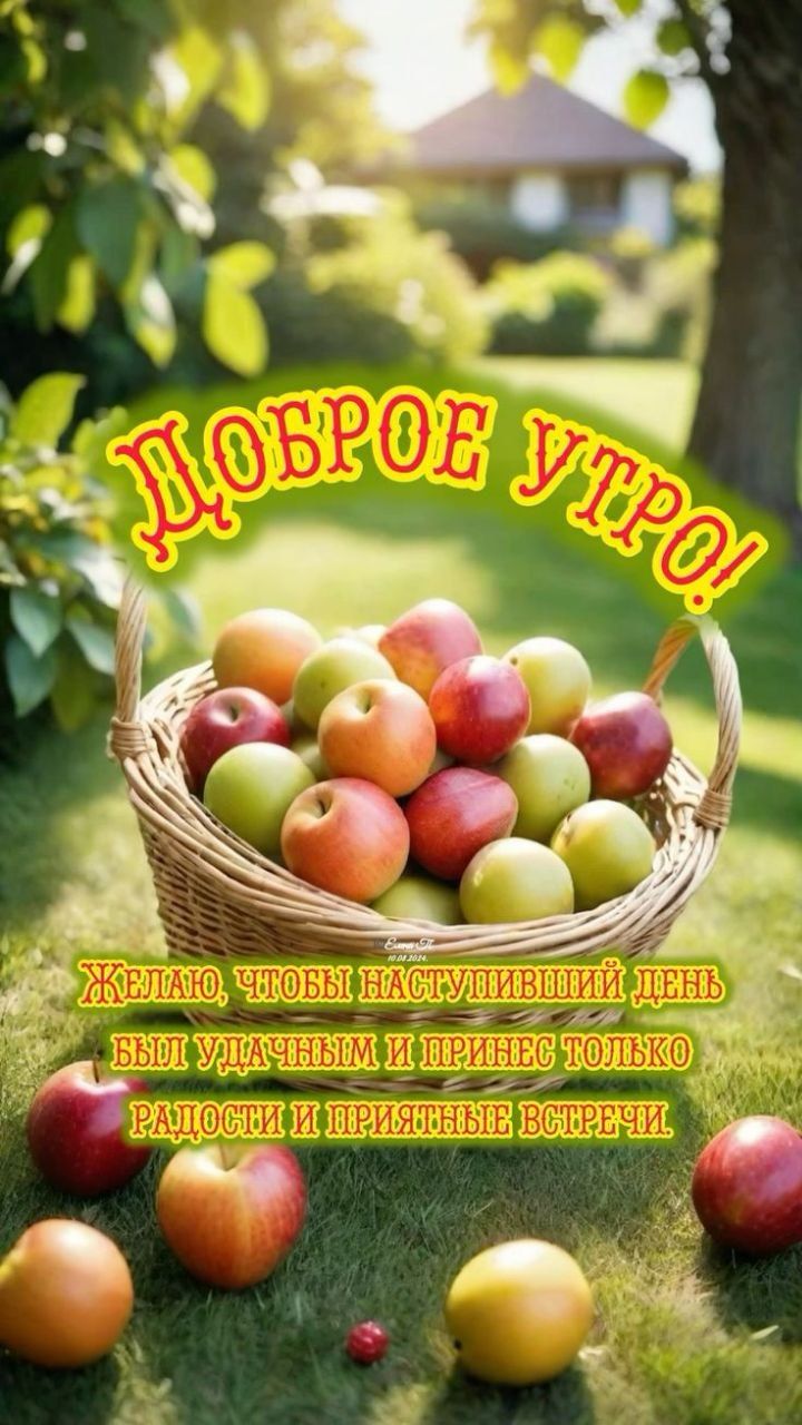 ДОБРОЕ УТРО! Желаю, чтобы наступивший день был удачным и принес только радости и приятные встречи.