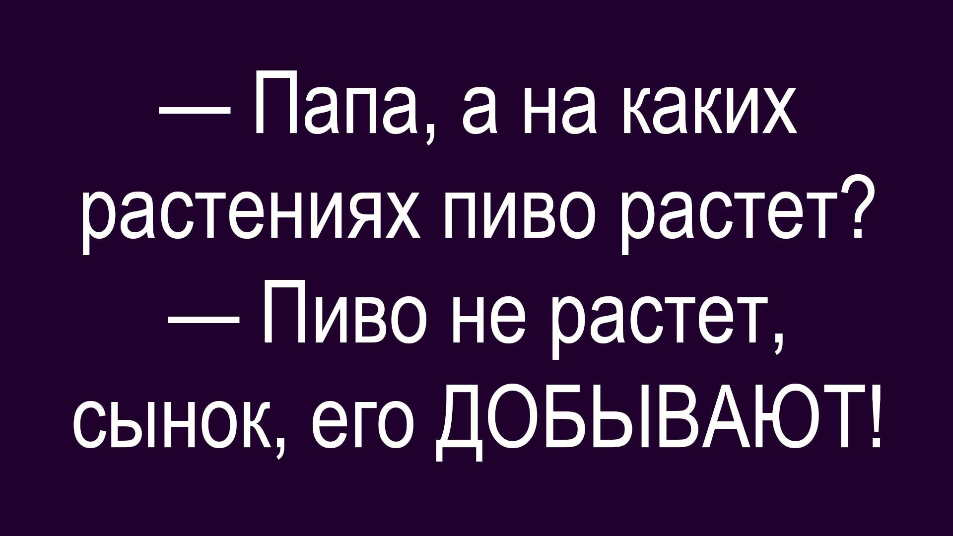 Папа, а на каких растениях пиво растет? Пиво не растет, сынок, его ДОБЫВАЮТ!
