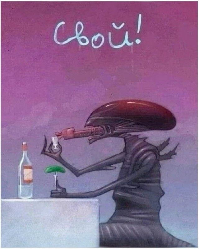 Свой!