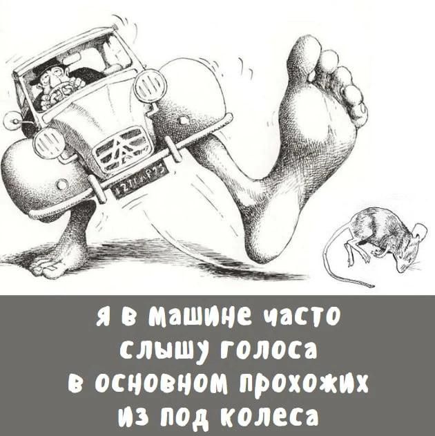 Я в машине часто слышу голоса в основном прохожих из под колеса