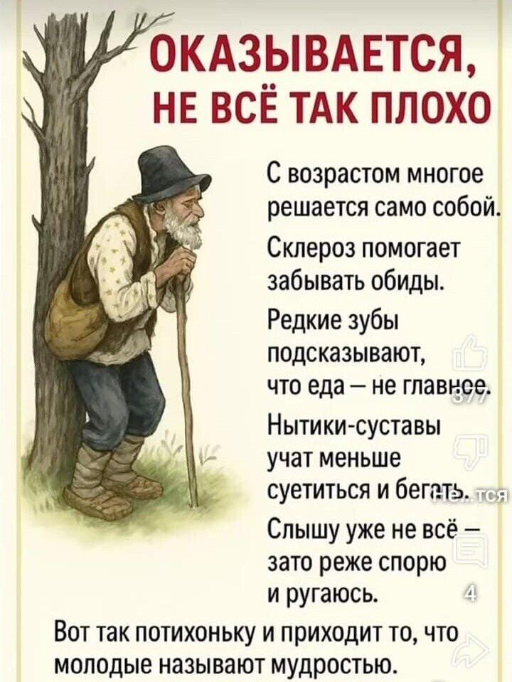 Оказывается, не всё так плохо. С возрастом многое решается само собой. Склероз помогает забывать обиды. Редкие зубы подсказывают, что еда — не главное. Нытики-суставы учат меньше суетиться и бегать. Слышу уже не всё — зато реже спорю и ругаюсь. Вот так потихоньку и приходит то, что молодые называют мудростью.