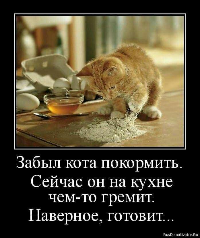 Забыл кота покормить. Сейчас он на кухне чем-то гремит. Наверное, готовит...