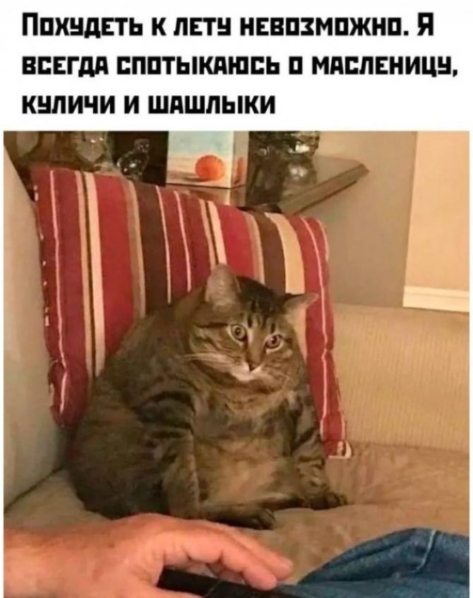 Похудеть к лету невозможно. Я всегда спотыкаюсь о масленицу, куличи и шашлыки