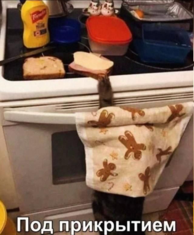 Под прикрытием