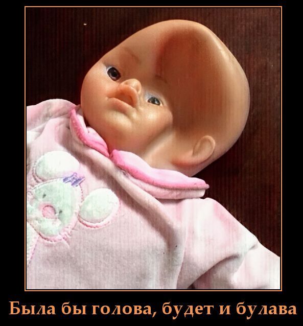 Была бы голова, будет и булава