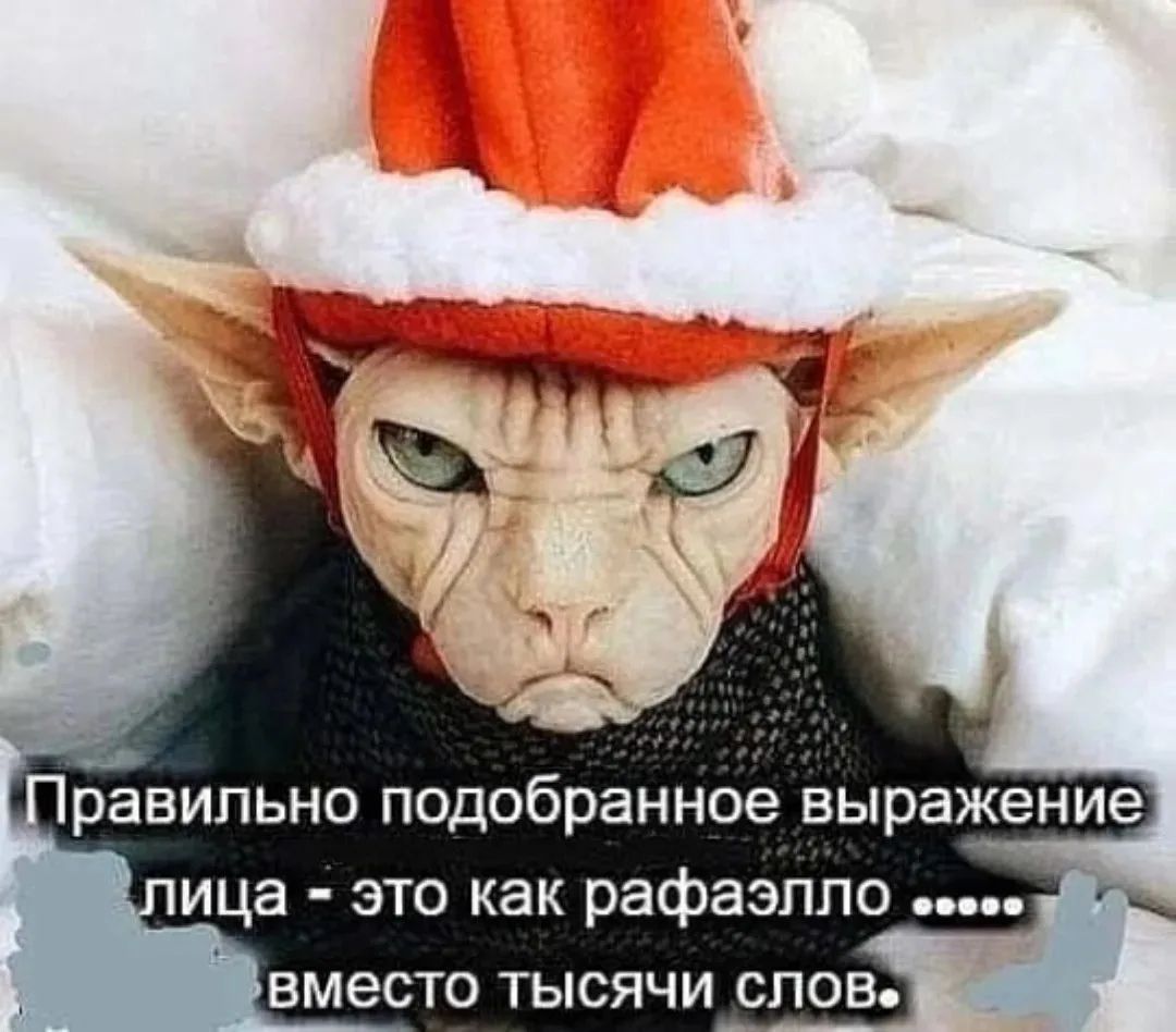 Правильно подобранное выражение лица - это как рафаэлло ...... вместо тысячи слов.