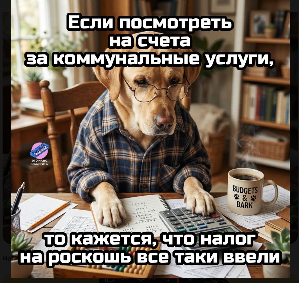 Если посмотреть на счета за коммунальные услуги, то кажется, что налог на роскошь все-таки ввели