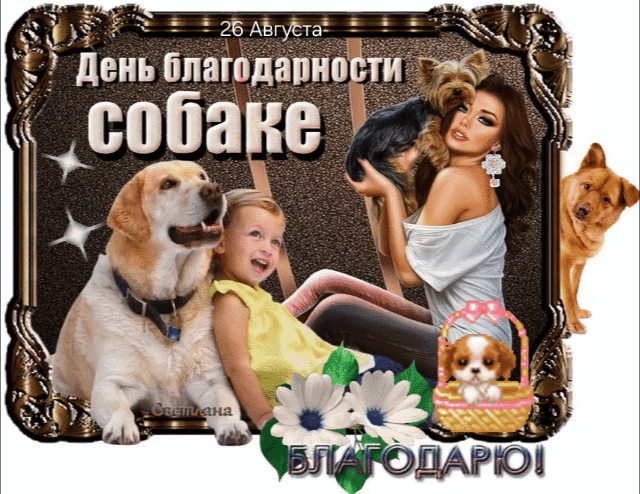 26 Августа День благодарности собаке БЛАГОДАРЮ!
