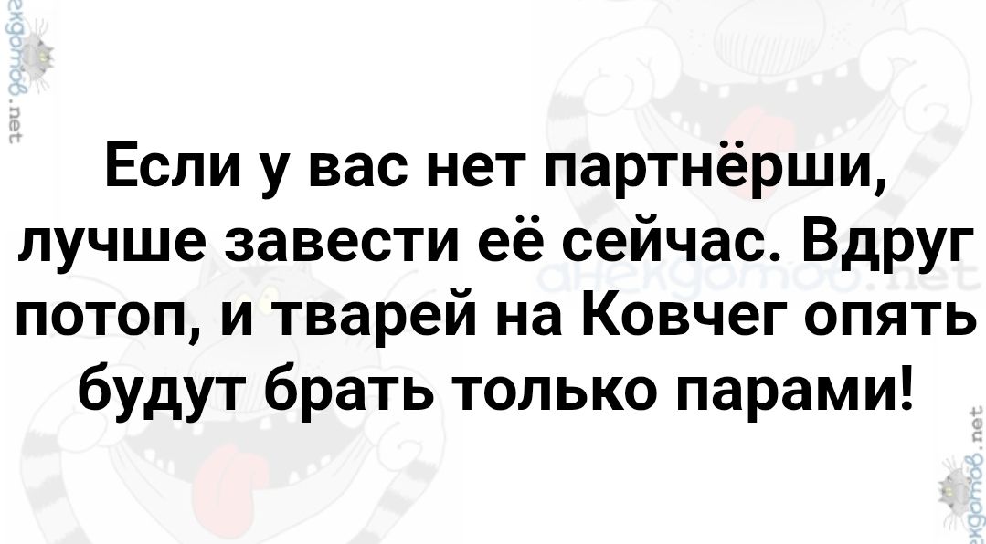 Если у вас нет партнёрши, лучше завести её сейчас. Вдруг потоп, и тварей на Ковчег опять будут брать только парами!