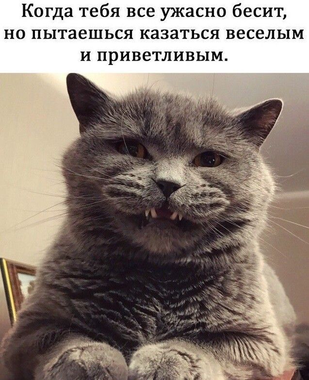 Когда тебя все ужасно бесит, но пытаешься казаться веселым и приветливым.
