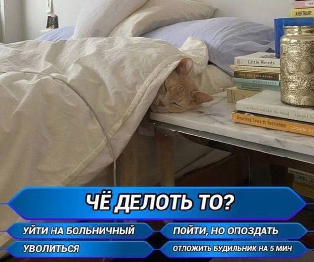 ЧЁ ДЕЛАТЬ ТО? УЙТИ НА БОЛЬНИЧНЫЙ УВОЛИТЬСЯ ПОЙТИ, НО ОПОЗДАТЬ ОТЛОЖИТЬ БУДИЛЬНИК НА 5 МИН