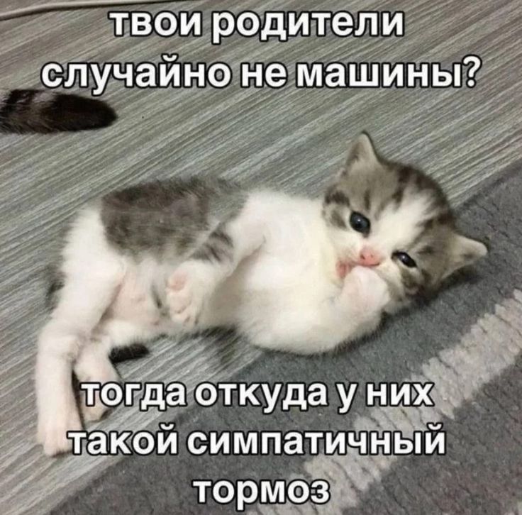 твои родители случайно не машины? тогда откуда у них такой симпатичный тормоз