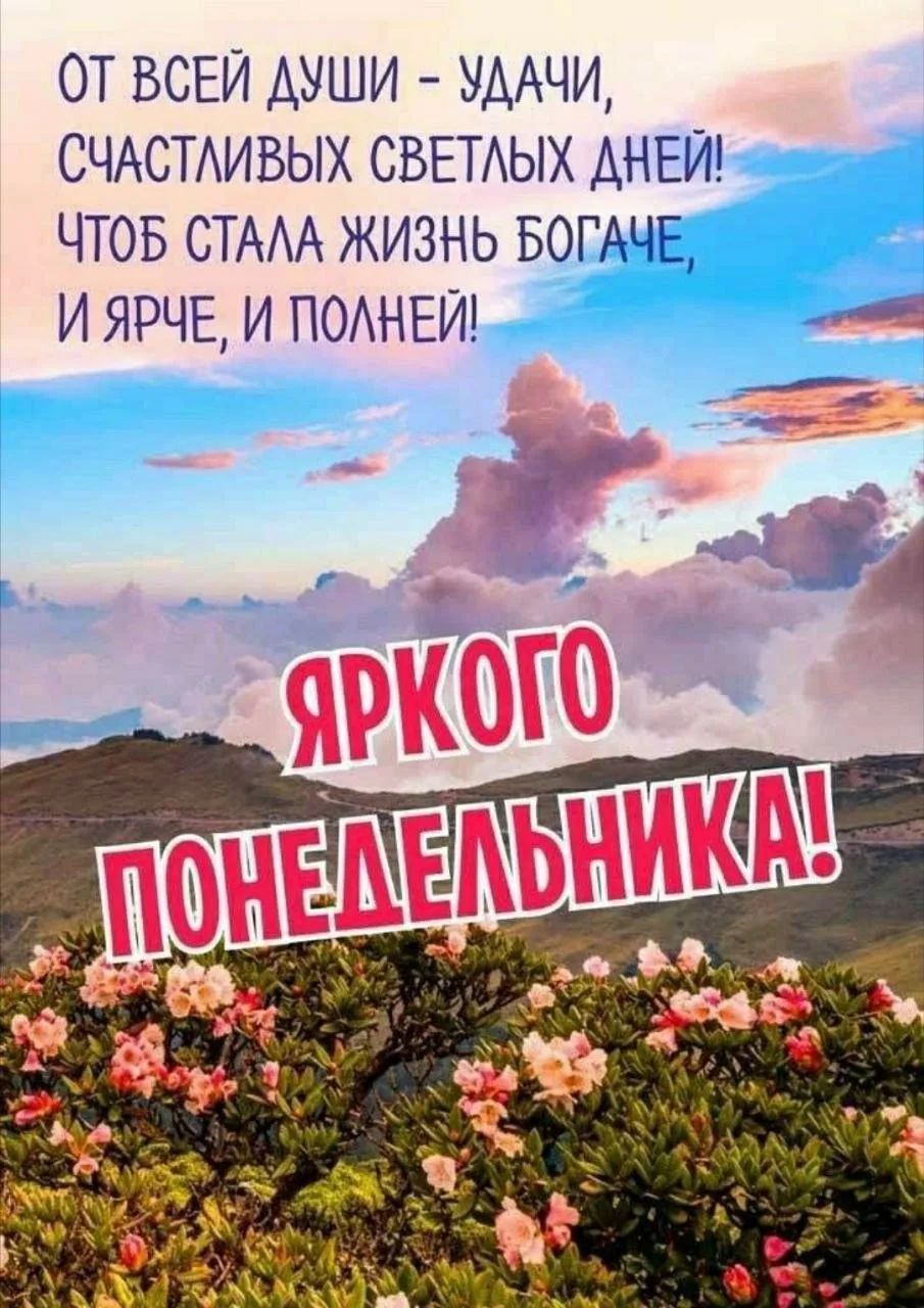 ОТ ВСЕЙ ДУШИ - УДАЧИ, СЧАСТЛИВЫХ СВЕТЛЫХ ДНЕЙ! ЧТОБ СТАЛА ЖИЗНЬ БОГАЧЕ, И ЯРЧЕ, И ПОЛНЕЙ! ЯРКОГО ПОНЕДЕЛЬНИКА!