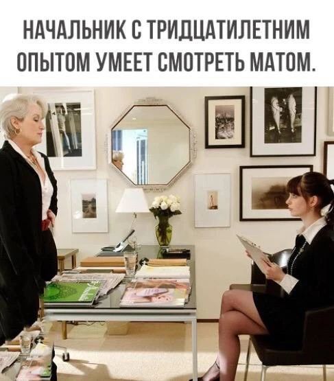 НАЧАЛЬНИК С ТРИДЦАТИЛЕТНИМ ОПЫТОМ УМЕЕТ СМОТРЕТЬ МАТОМ.