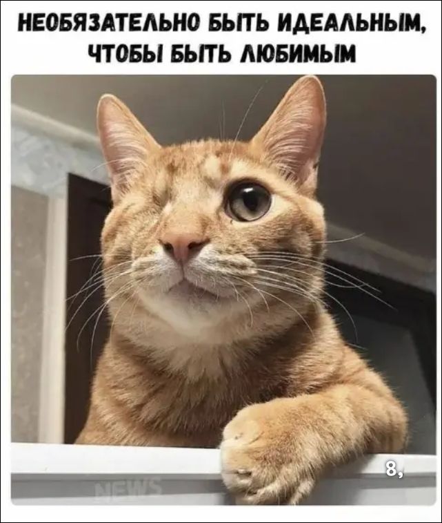 НЕОБЯЗАТЕЛЬНО БЫТЬ ИДЕАЛЬНЫМ, ЧТОБЫ БЫТЬ ЛЮБИМЫМ