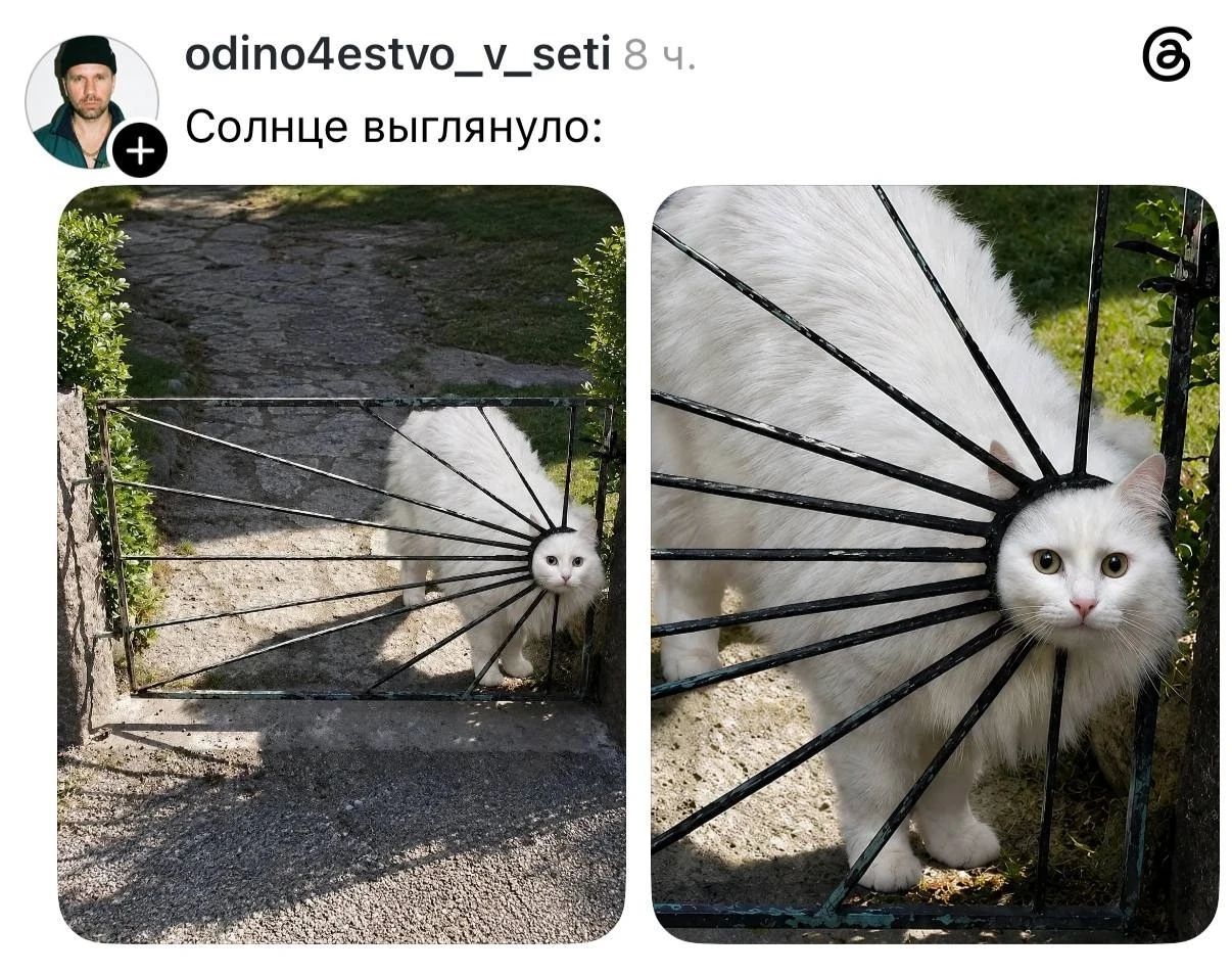 Солнце выглянуло: