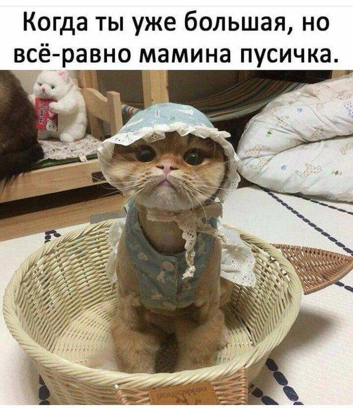 Когда ты уже большая, но всё-равно мамина пусичка.