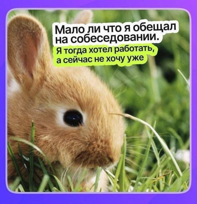 Мало ли что я обещал на собеседовании. Я тогда хотел работать, а сейчас не хочу уже