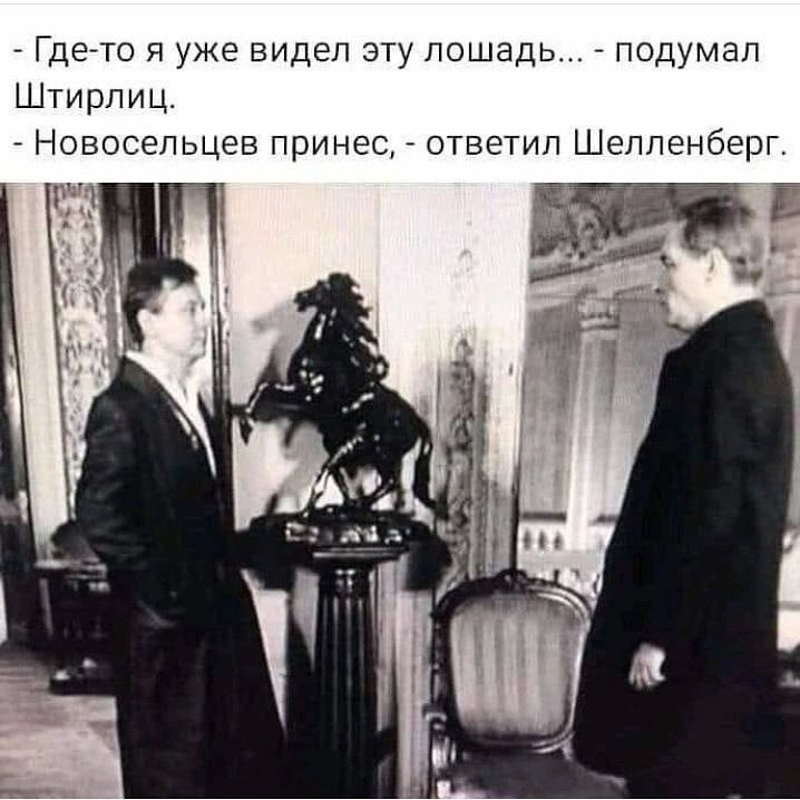 Где-то я уже видел эту лошадь... - подумал Штирлиц. - Новосельцев принес, - ответил Шелленберг.
