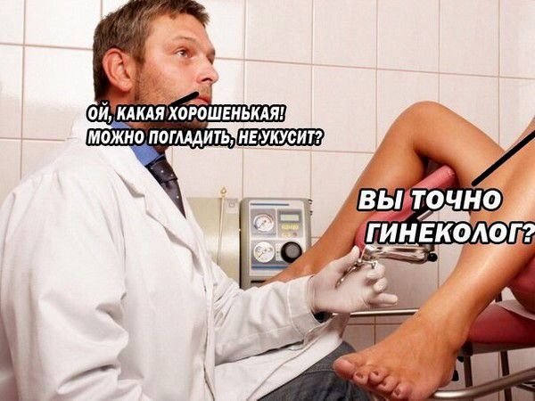 ОЙ, КАКАЯ ХОРОШЕНЬКАЯ! МОЖНО ПОГЛАДИТЬ, НЕ УКУСИТ? ВЫ ТОЧНО ГИНЕКОЛОГ?