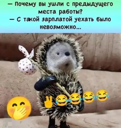 — Почему вы ушли с предыдущего места работы? — С такой зарплатой уехать было невозможно...