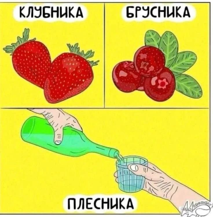 КЛУБНИКА БРУСНИКА ПЛЕСНИКА