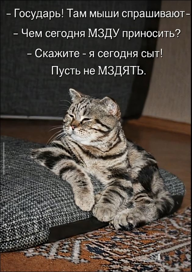 – Государь! Там мыши спрашивают – Чем сегодня МЗДУ приносить? – Скажите – я сегодня сыт! Пусть не МЗДЯТЬ.