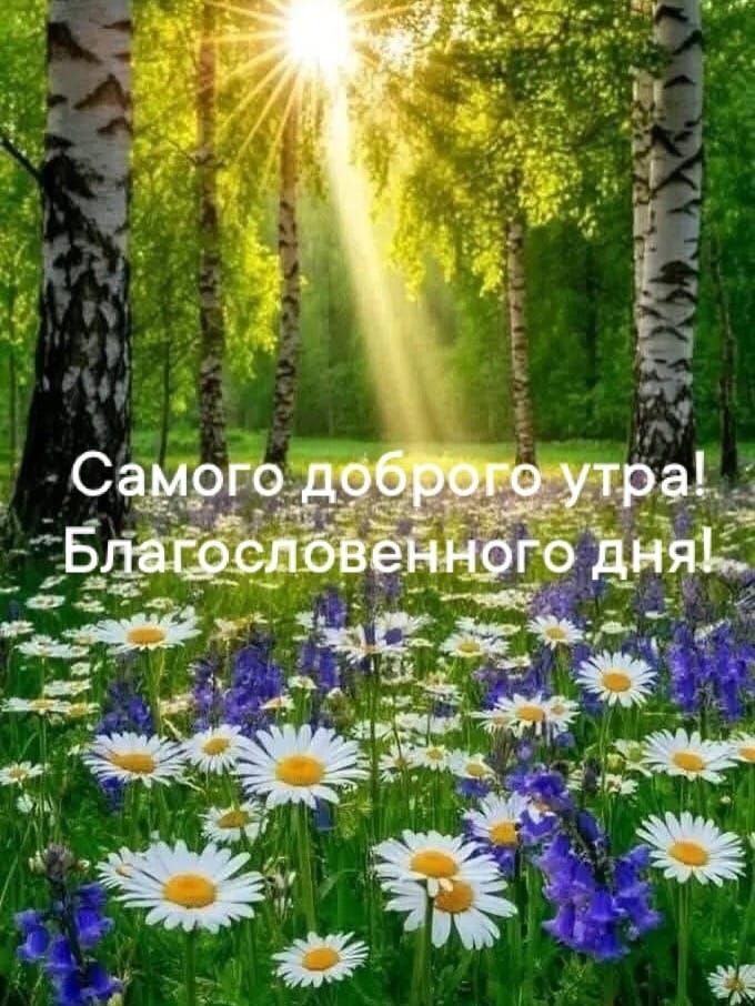 Самого доброго утра! Благословенного дня!
