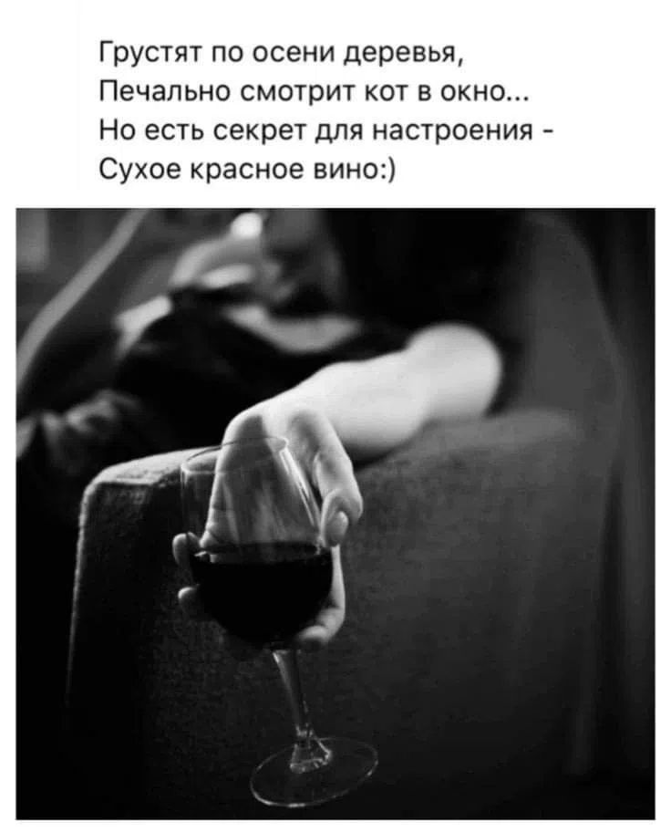 Грустят по осени деревья, Печально смотрит кот в окно... Но есть секрет для настроения - Сухое красное вино:)