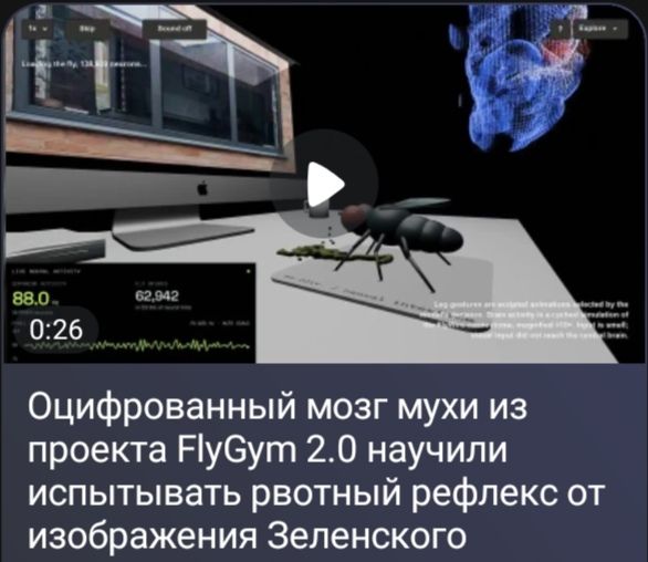 Оцифрованный мозг мухи из проекта FlyGym 2.0 научили испытывать рвотный рефлекс от изображения Зеленского