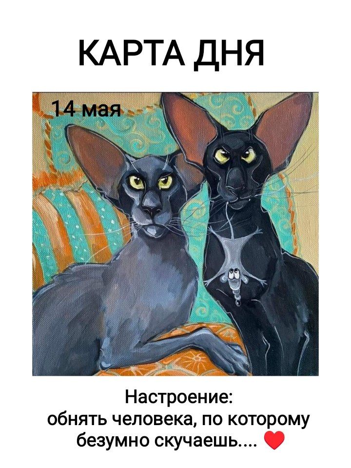 КАРТА ДНЯ 14 мая Настроение: обнять человека, по которому безумно скучаешь....