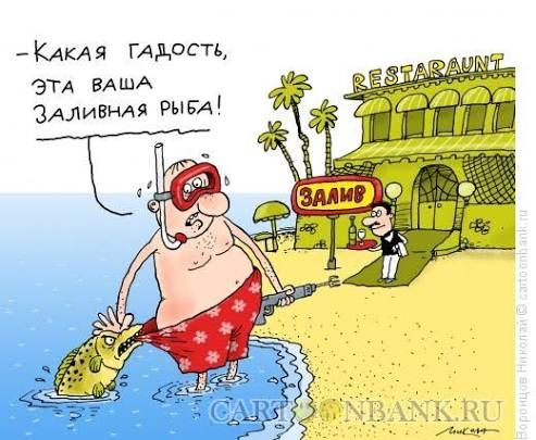 — КАКАЯ ГАДОСТЬ, ЭТА ВАША ЗАЛИВНАЯ РЫБА!