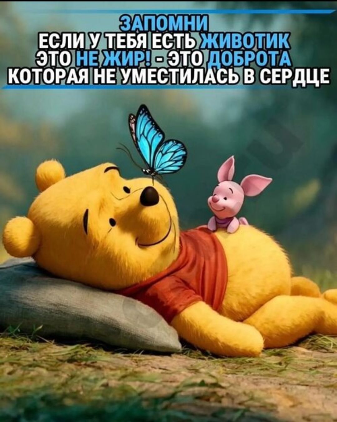 ЗАПОМНИ ЕСЛИ У ТЕБЯ ЕСТЬ ЖИВОТИК ЭТО НЕ ЖИР! - ЭТО ДОБРОТА КОТОРАЯ НЕ УМЕСТИЛАСЬ В СЕРДЦЕ