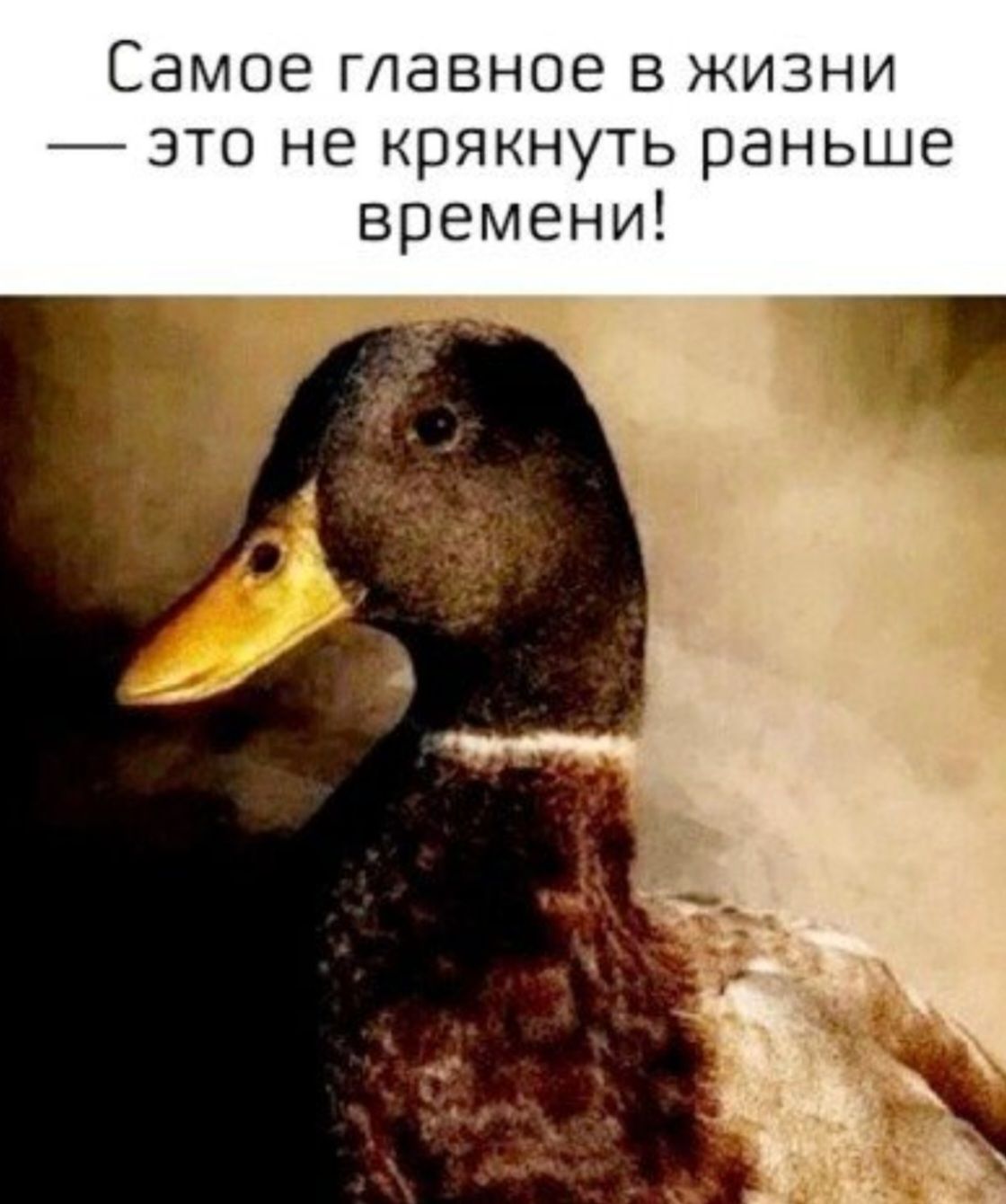 Самое главное в жизни — это не крякнуть раньше времени!