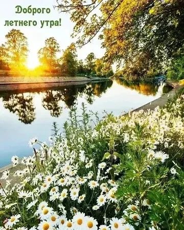 Доброго летнего утра!