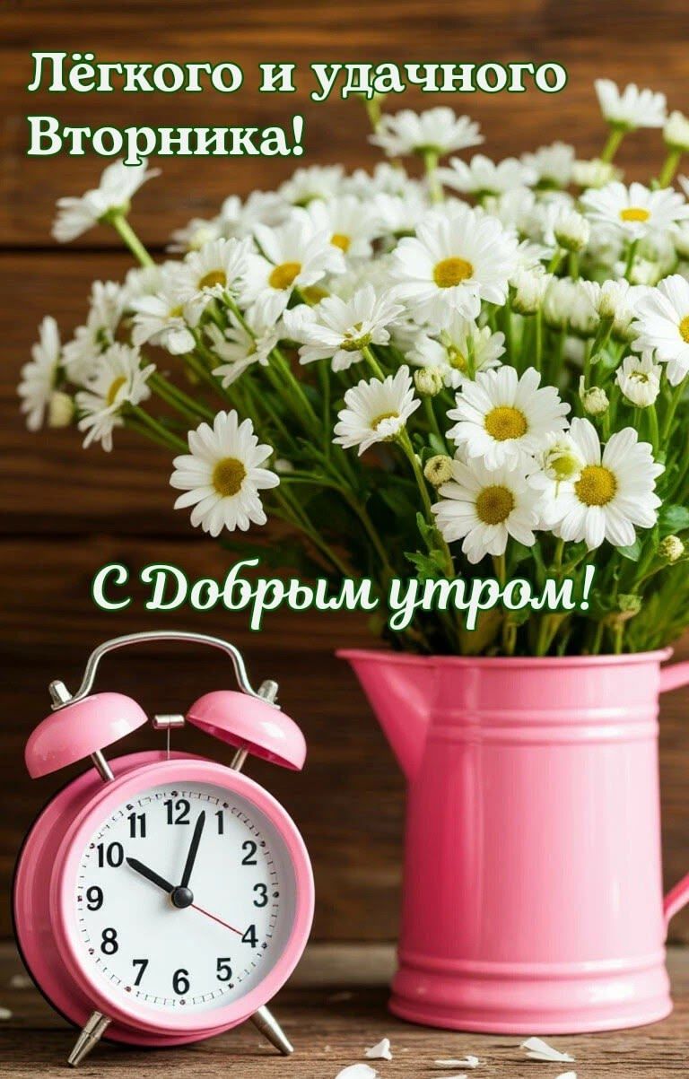 Лёгкого и удачного Вторника! С Добрым утром!