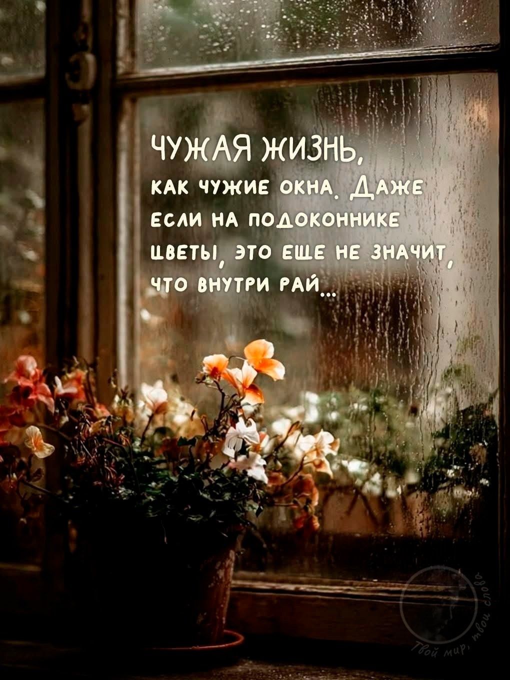 Чужая жизнь, как чужие окна. Даже если на подоконнике цветы, это еще не значит, что внутри рай...