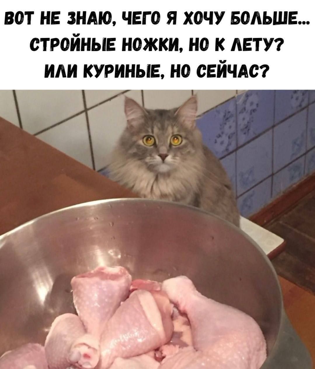 ВОТ НЕ ЗНАЮ, ЧЕГО Я ХОЧУ БОЛЬШЕ... СТРОЙНЫЕ НОЖКИ, НО К ЛЕТУ? ИЛИ КУРИНЫЕ, НО СЕЙЧАС?