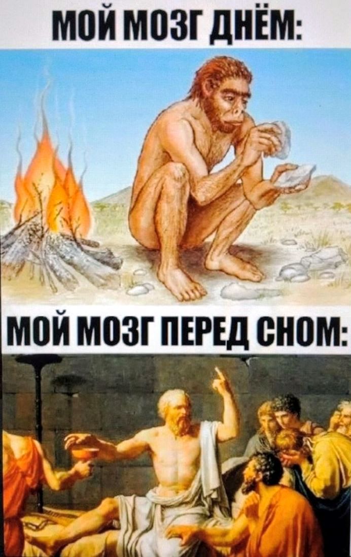 МОЙ МОЗГ ДНЁМ: МОЙ МОЗГ ПЕРЕД СНОМ: