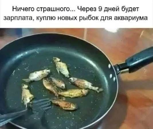 Ничего страшного... Через 9 дней будет зарплата, куплю новых рыбок для аквариума