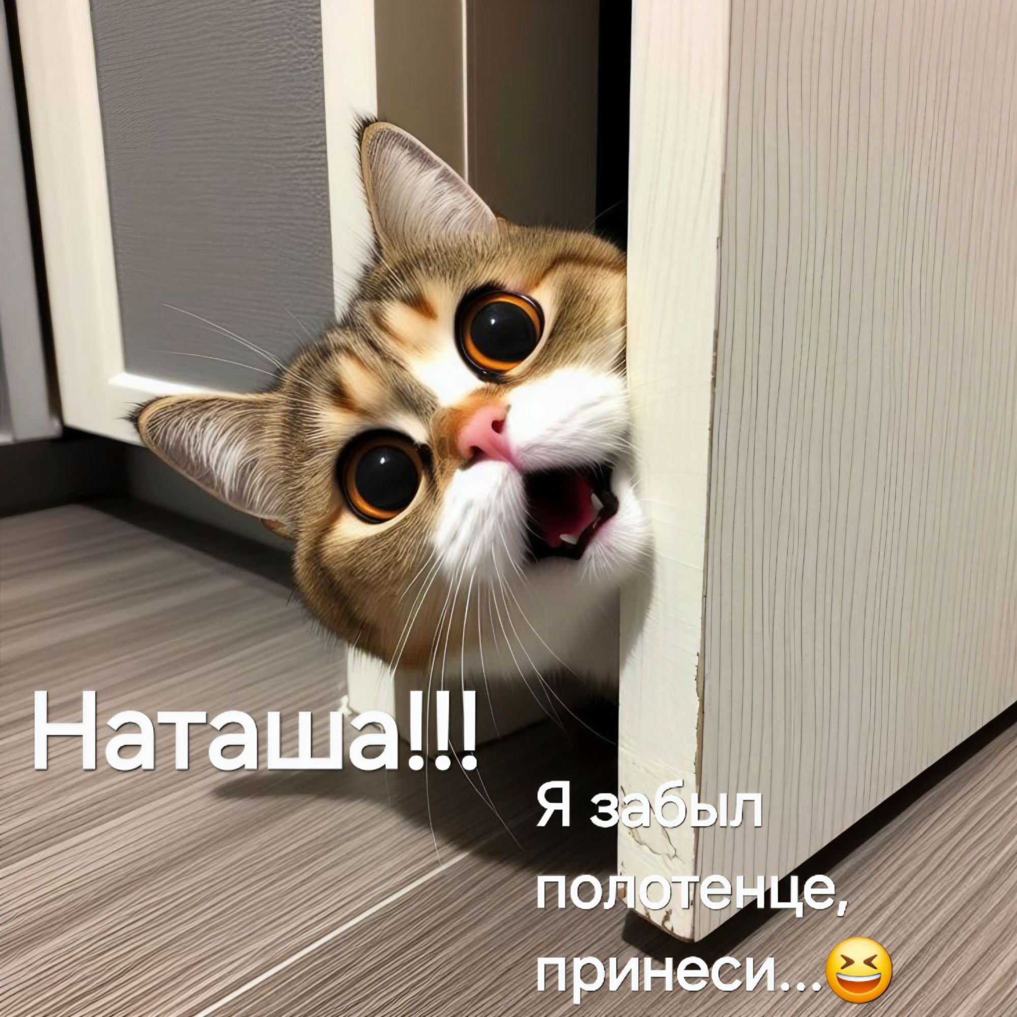 Наташа!!! Я забыл полотенце, принеси...